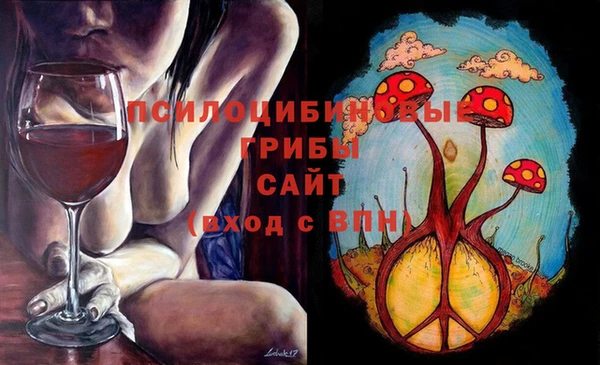 амф Алексин