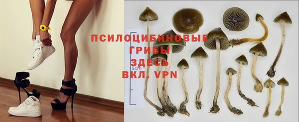 амф Алексин