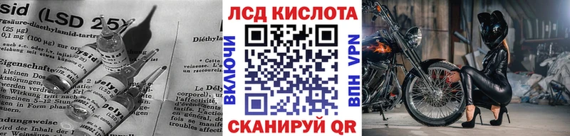 дарк нет как зайти  Камызяк  Лсд 25 экстази ecstasy 