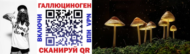 hydra зеркало  Камызяк  Псилоцибиновые грибы мухоморы 