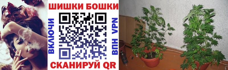 Канабис марихуана  наркошоп  Камызяк 